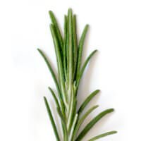 盜賊精油Thieves-源自15世紀流傳的傳奇配方