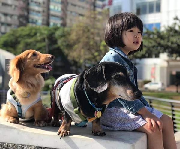 2腳4腳Logo設計-簡單總是不簡單 - 第4張圖 2腳4腳Logo設計-簡單總是不簡單