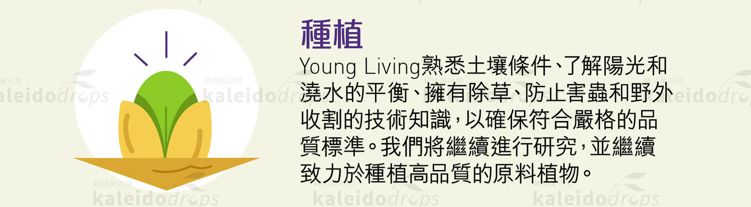 Young Living精油與「有機」、「純天然」精油有什麼差別?