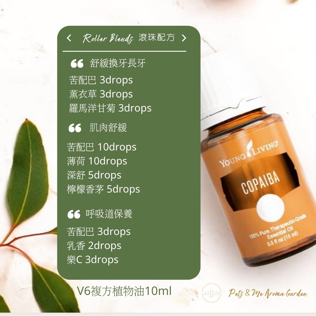 苦配巴精油（古巴香脂）Copaiba-精油放大鏡