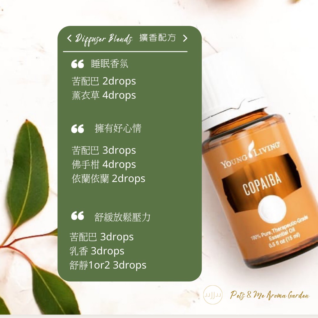 苦配巴精油（古巴香脂）Copaiba-精油放大鏡