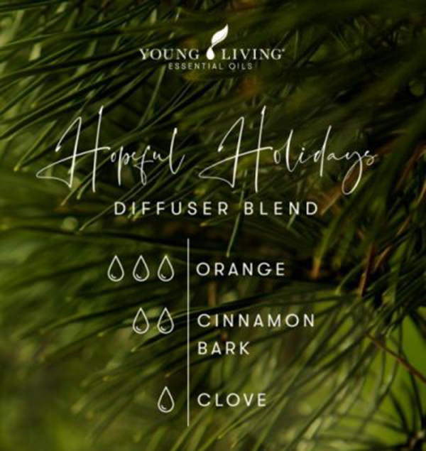 丁香精油 Clove-溫暖振奮•帶走疼痛