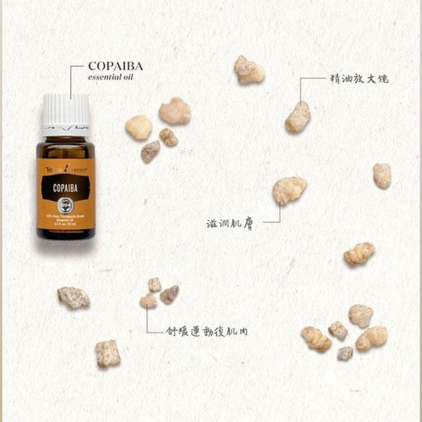 苦配巴精油（古巴香脂）Copaiba-精油放大鏡