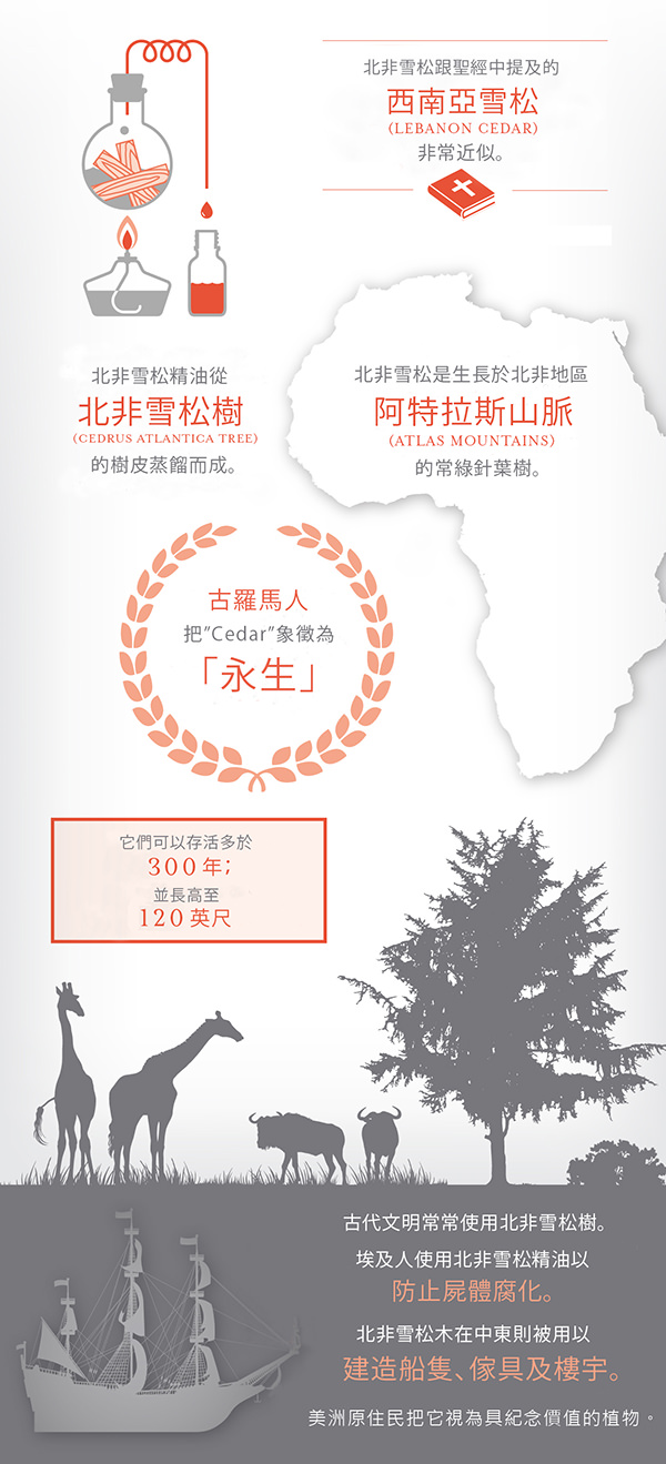 雪松精油 Cedarwood-溫暖的力量 - 第1張圖 雪松精油 Cedarwood-溫暖的力量