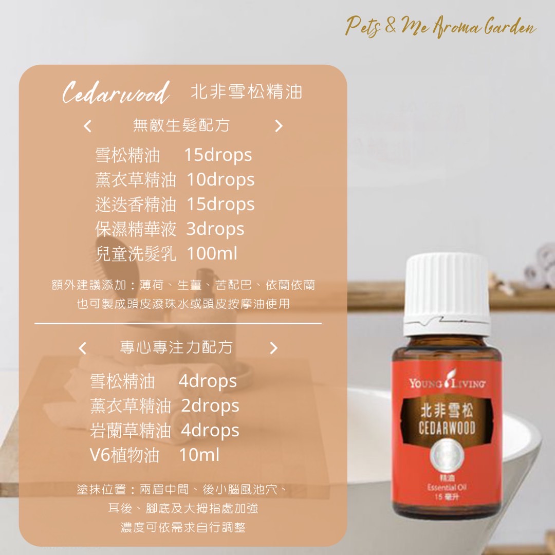 雪松精油 Cedarwood-溫暖的力量 - 第2張圖 雪松精油 Cedarwood-溫暖的力量