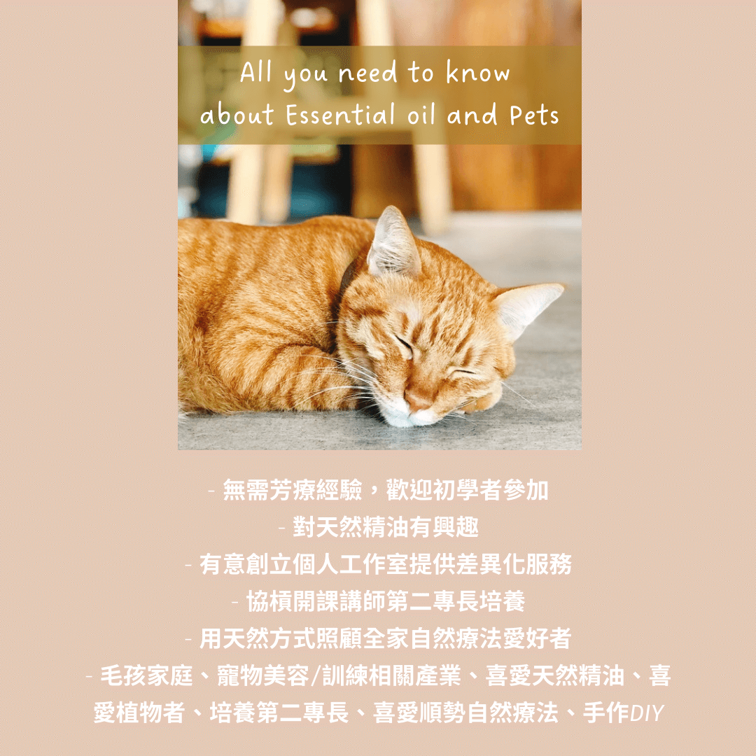 寵物芳療體驗課 - 第3張圖 寵物芳療體驗課