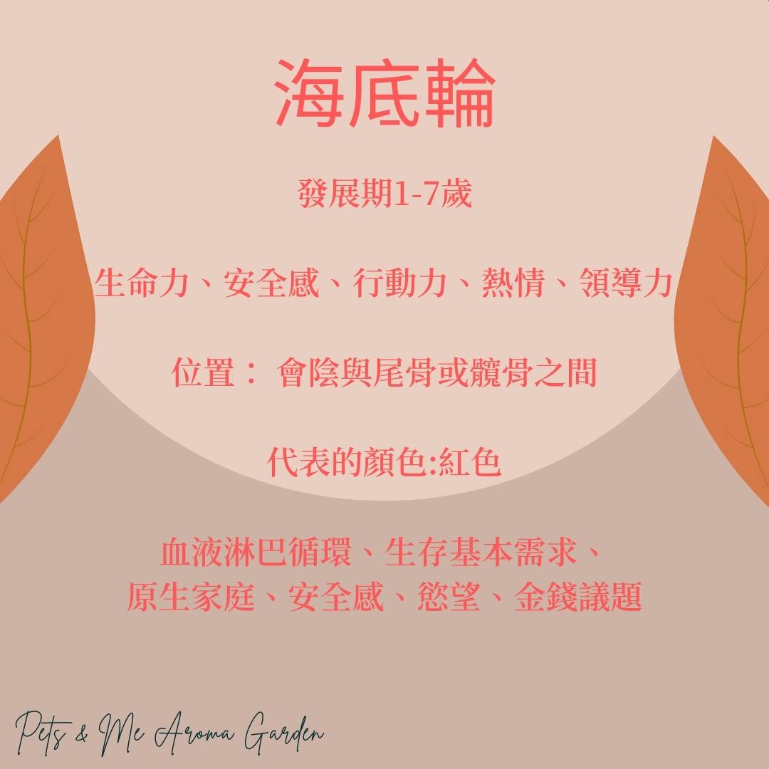 第一脈輪-海底輪