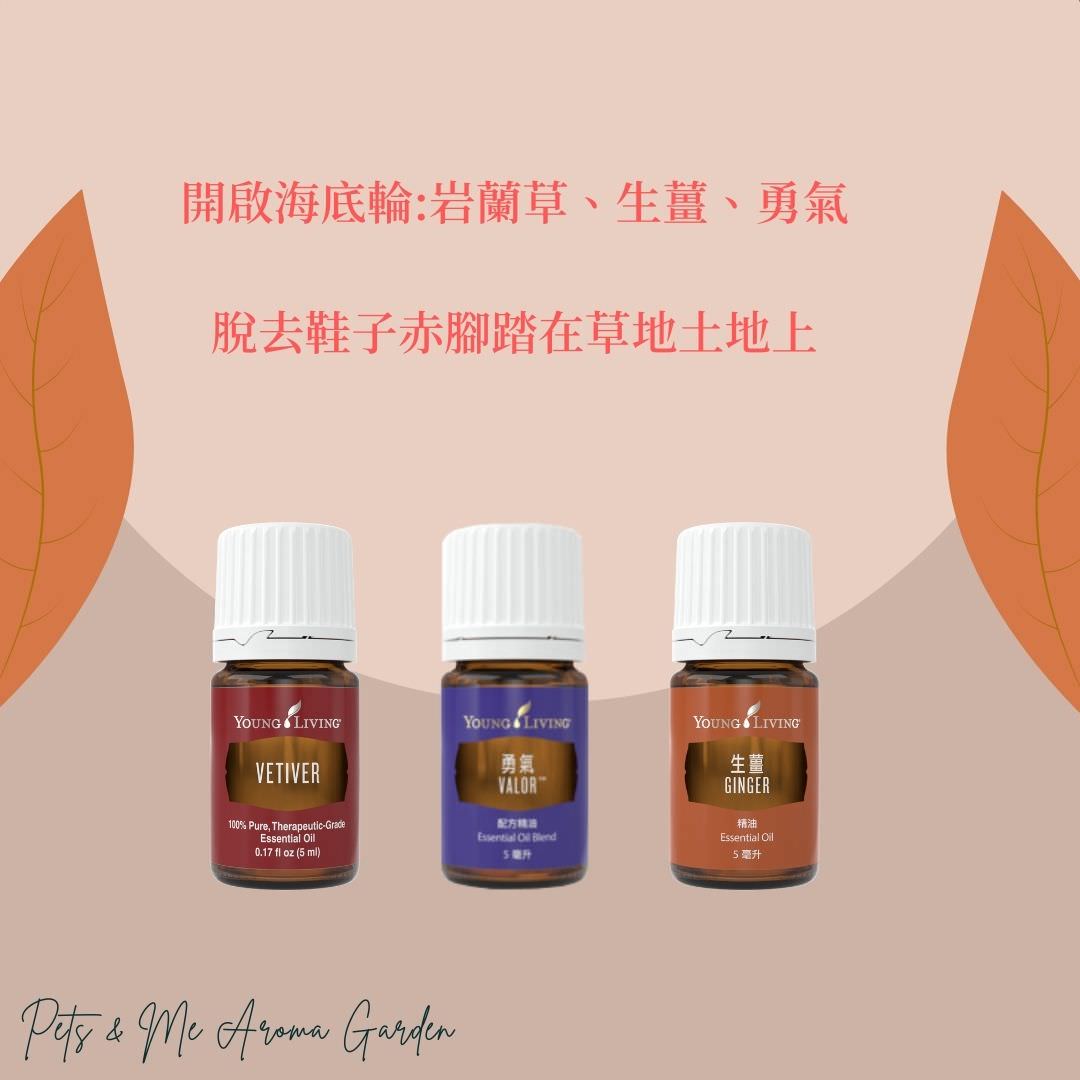 第一脈輪-海底輪