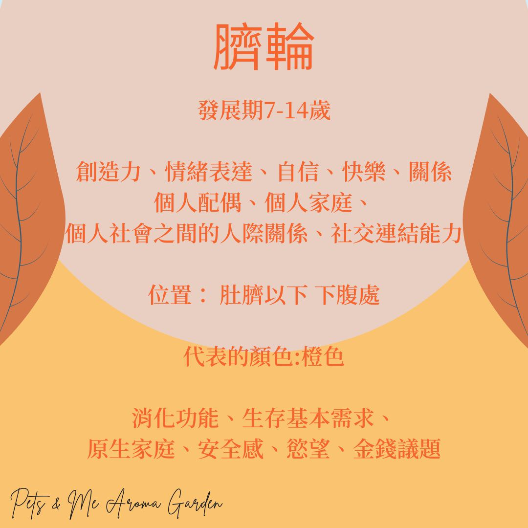 第二脈輪-臍輪 - 第1張圖 第二脈輪-臍輪