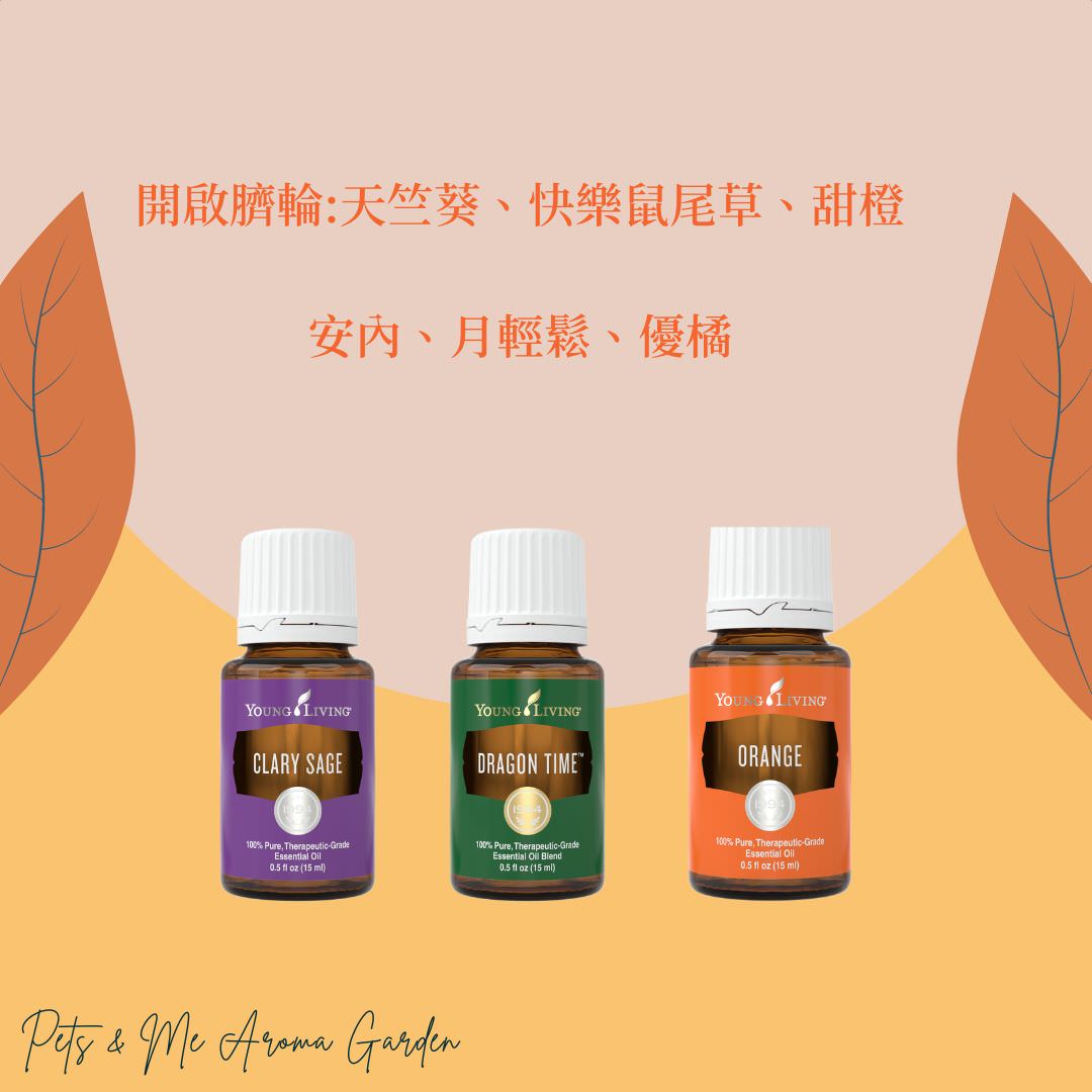第二脈輪-臍輪 - 第2張圖 第二脈輪-臍輪