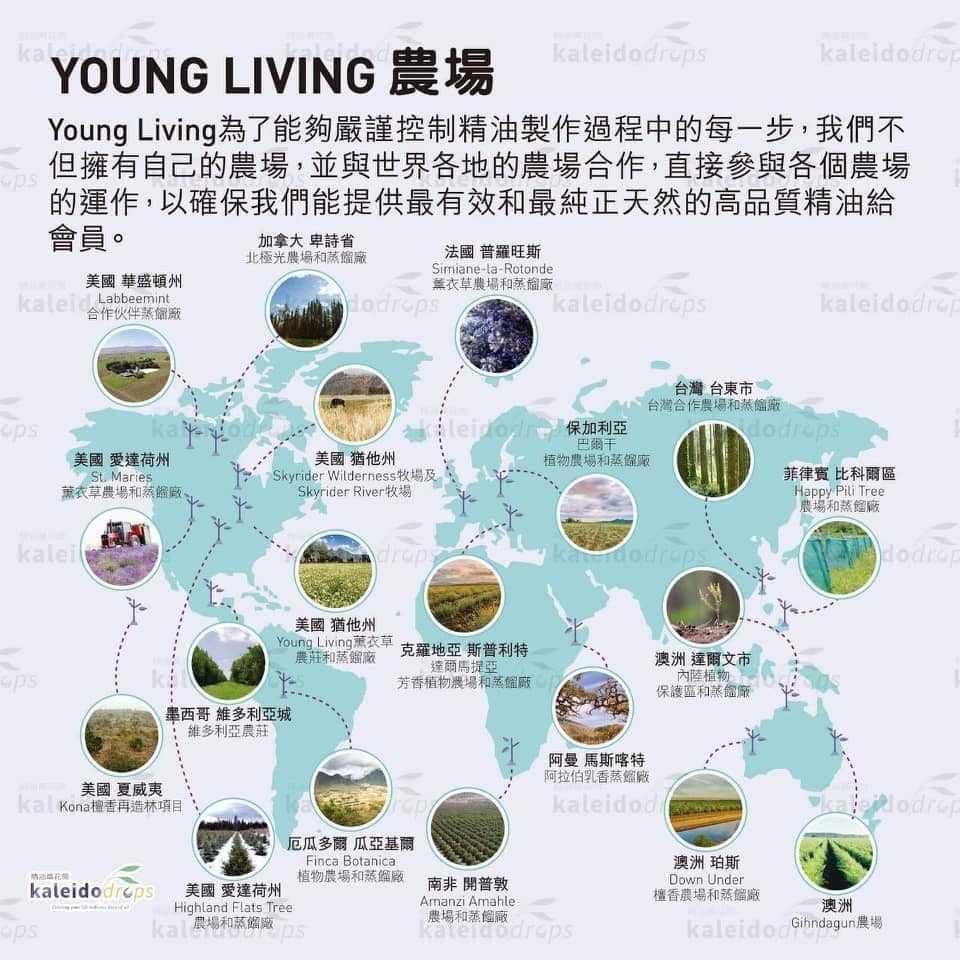 Why Young Living?