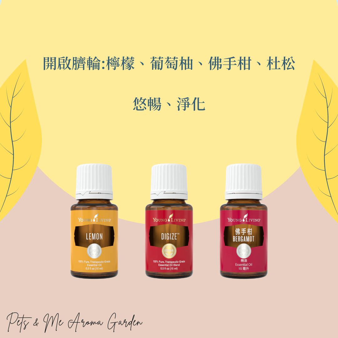 第三脈輪-胃輪(太陽神經叢) - 第2張圖 第三脈輪-胃輪(太陽神經叢)