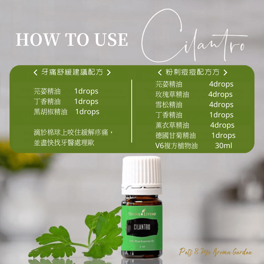 芫荽精油 Cilantro -深藏不露的芫荽 撫慰嫉妒不平而疲乏的身心靈 - 第1張圖 芫荽精油 Cilantro -深藏不露的芫荽 撫慰嫉妒不平而疲乏的身心靈