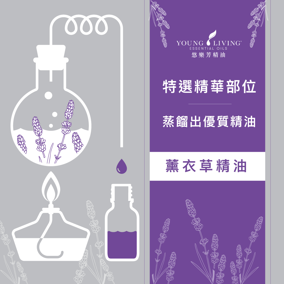 薰衣草精油世界之都-Young Living 悠樂芳西米昂拉羅通德農場