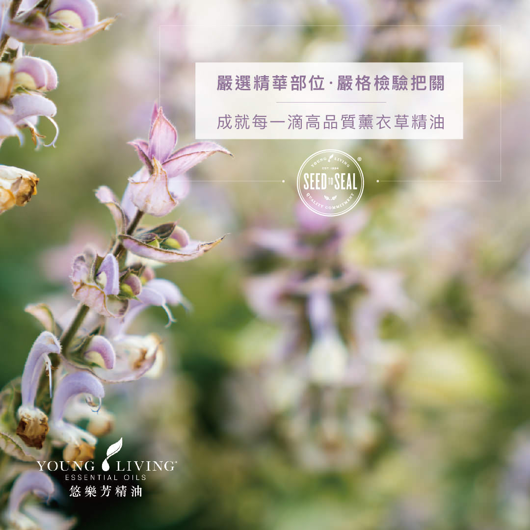 薰衣草精油世界之都-Young Living 悠樂芳西米昂拉羅通德農場