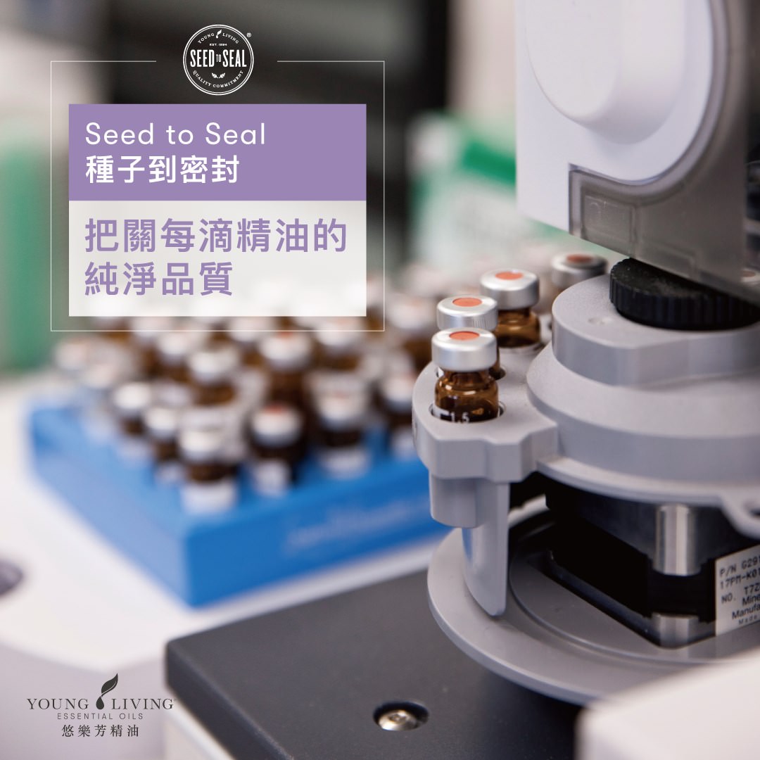 薰衣草精油世界之都-Young Living 悠樂芳西米昂拉羅通德農場