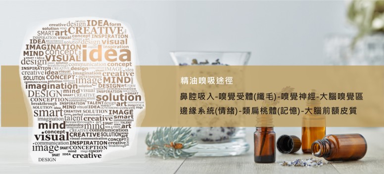 淨能套裝Feelings Kit -解除負面記憶 為人生重新校準方向